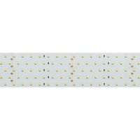  - Лента RT 2-2500 24V Cool 8K 5x2 (2835, 875 LED, LUX) (Arlight, 36 Вт/м, IP20)