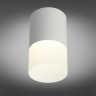 Потолочный светодиодный светильник Omnilux Ercolano OML-100009-05 - Потолочный светодиодный светильник Omnilux Ercolano OML-100009-05