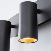  - Светодиодный спот Eurosvet Fleur 20066/3 LED черный/золото