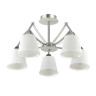 Потолочная люстра Lumion Hadrinna 3449/5C - Потолочная люстра Lumion Hadrinna 3449/5C