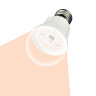 Лампа светодиодная для растений Uniel E27 10W прозрачная LED-A60-10W/SPFR/E27/CL PLP01WH UL-00001820 - Лампа светодиодная для растений Uniel E27 10W прозрачная LED-A60-10W/SPFR/E27/CL PLP01WH UL-00001820