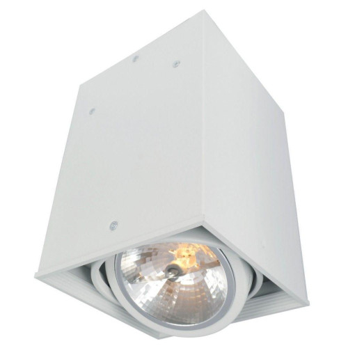 Потолочный светильник Arte Lamp Cardani A5936PL-1WH 