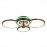 Потолочная светодиодная люстра Evoled Leto SLE200382-04RGB - Потолочная светодиодная люстра Evoled Leto SLE200382-04RGB