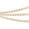 Лента RT 2-5000 24V Cx2 Warm3500 10mm (2835, 168 LED/m, LUX) (Arlight, 17 Вт/м, IP20) - Лента RT 2-5000 24V Cx2 Warm3500 10mm (2835, 168 LED/m, LUX) (Arlight, 17 Вт/м, IP20)