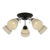 Потолочная люстра Toplight Winnifred TL1255D-05BC
