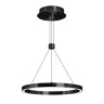 Светильник SP-CONGO-CAN-1-R400-24W Warm3000 (BK, 120 deg, 230V) (Arlight, IP20 Металл, 5 лет) - Светильник SP-CONGO-CAN-1-R400-24W Warm3000 (BK, 120 deg, 230V) (Arlight, IP20 Металл, 5 лет)