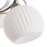 Потолочная люстра Arte Lamp Ellisse A6342PL-5WG - Потолочная люстра Arte Lamp Ellisse A6342PL-5WG