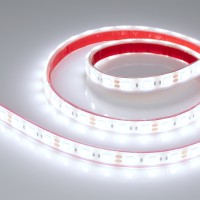  - Лента RTW 2-5000PGS 12V Cool 2x (5060, 300 LED, LUX) (Arlight, 14.4 Вт/м, IP67)