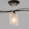 Потолочная люстра Citilux Мотив CL166131 - Потолочная люстра Citilux Мотив CL166131