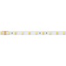 Лента RT 6-5000 24V White-MIX 2x (5060, 60 LED/m, LUX) (Arlight, Изменяемая ЦТ) - Лента RT 6-5000 24V White-MIX 2x (5060, 60 LED/m, LUX) (Arlight, Изменяемая ЦТ)