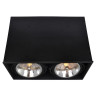Потолочный светильник Arte Lamp Cardani A5936PL-2BK - Потолочный светильник Arte Lamp Cardani A5936PL-2BK