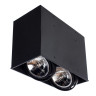 Потолочный светильник Arte Lamp Cardani A5936PL-2BK - Потолочный светильник Arte Lamp Cardani A5936PL-2BK