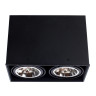 Потолочный светильник Arte Lamp Cardani A5936PL-2BK - Потолочный светильник Arte Lamp Cardani A5936PL-2BK