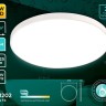 Потолочный светодиодный светильник Ambrella light Orbital Air FZ1202 - Потолочный светодиодный светильник Ambrella light Orbital Air FZ1202