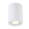 Потолочный светильник Crystal Lux CLT 410C1 WH - Потолочный светильник Crystal Lux CLT 410C1 WH