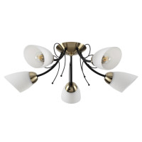  - Потолочная люстра Lumion Eliana 4592/5C