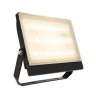 Прожектор светодиодный Deko-Light Brachium 80W 3000K 732064 - Прожектор светодиодный Deko-Light Brachium 80W 3000K 732064