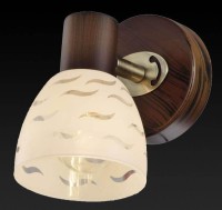  - Спот Toplight Shayla TL3730Y-01BB