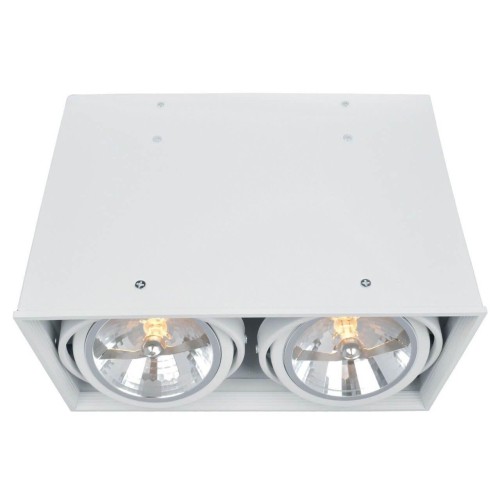 Потолочный светильник Arte Lamp Cardani A5936PL-2WH 