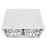 Потолочный светильник Arte Lamp Cardani A5936PL-2WH - Потолочный светильник Arte Lamp Cardani A5936PL-2WH