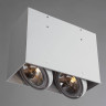 Потолочный светильник Arte Lamp Cardani A5936PL-2WH - Потолочный светильник Arte Lamp Cardani A5936PL-2WH