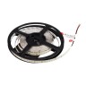 Лента FITOLUX-A144-10mm 24V Day4000-Red (14 W/m, IP20, 2835, 5m) (Arlight, Открытый) - Лента FITOLUX-A144-10mm 24V Day4000-Red (14 W/m, IP20, 2835, 5m) (Arlight, Открытый)