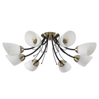  - Потолочная люстра Lumion Eliana 4592/8C