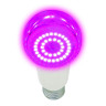 Лампа светодиодная для растений Uniel E27 14W прозрачная LED-A60-14W/SPSB/E27/CL PLP30WH UL-00006260 - Лампа светодиодная для растений Uniel E27 14W прозрачная LED-A60-14W/SPSB/E27/CL PLP30WH UL-00006260