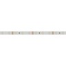 Лента RTW 2-5000SE 12V Day (3528, 300 LED, LUX) (Arlight, 4.8 Вт/м, IP65) - Лента RTW 2-5000SE 12V Day (3528, 300 LED, LUX) (Arlight, 4.8 Вт/м, IP65)
