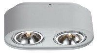  - Потолочный светильник Arte Lamp Cliff A5643PL-2WH