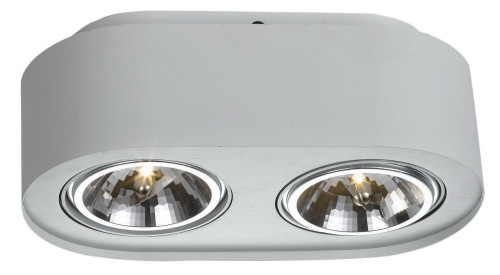 Потолочный светильник Arte Lamp Cliff A5643PL-2WH 