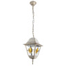 Уличный подвесной светильник Arte Lamp Berlin A1015SO-1WG - Уличный подвесной светильник Arte Lamp Berlin A1015SO-1WG
