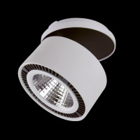 - Встраиваемый спот Lightstar Forte Inca 213829