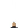 Подвесной светильник Vele Luce Folk VL6502P01 - Подвесной светильник Vele Luce Folk VL6502P01