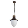 Уличный подвесной светильник Arte Lamp Vienna A1317SO-1BN - Уличный подвесной светильник Arte Lamp Vienna A1317SO-1BN
