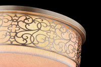  - Потолочный светильник Maytoni Venera H260-05-N