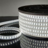 Светодиодная влагозащищенная лента Elektrostandard 18W/m 180LED/m 2835SMD холодный белый 50M 4690389170041 - Светодиодная влагозащищенная лента Elektrostandard 18W/m 180LED/m 2835SMD холодный белый 50M 4690389170041