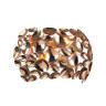 Настенный светильник Favourite Gittus 2013-2W - Настенный светильник Favourite Gittus 2013-2W