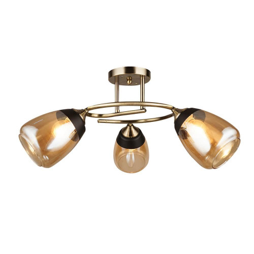 Потолочная люстра Wedo Light Aldino 66425.01.05.03 