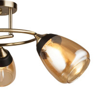  - Потолочная люстра Wedo Light Aldino 66425.01.05.03