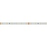 Лента RT-A60-8mm 24V Warm3000 CRI98 (7.2 W/m, IP20, 2835, 5m) (Arlight, Открытый) - Лента RT-A60-8mm 24V Warm3000 CRI98 (7.2 W/m, IP20, 2835, 5m) (Arlight, Открытый)