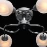 Потолочная люстра MW-Light Олимпия 638018506 - Потолочная люстра MW-Light Олимпия 638018506