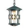 Уличный подвесной светильник Arte Lamp Persia A1455SO-1BG - Уличный подвесной светильник Arte Lamp Persia A1455SO-1BG