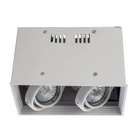 - Потолочный светильник Arte Lamp Cardani A5942PL-2WH