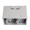 Потолочный светильник Arte Lamp Cardani A5942PL-2WH - Потолочный светильник Arte Lamp Cardani A5942PL-2WH
