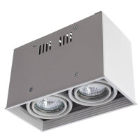  - Потолочный светильник Arte Lamp Cardani A5942PL-2WH