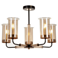  - Потолочная люстра Freya Tera FR5029PL-05B