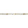 Лента RT 2-5000-50m 24V White6000 2x (2835, 160 LED/m, LUX) (Arlight, 12 Вт/м, IP20) - Лента RT 2-5000-50m 24V White6000 2x (2835, 160 LED/m, LUX) (Arlight, 12 Вт/м, IP20)