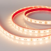  - Лента RTW 2-5000PGS 12V Warm 2x (5060, 300 LED, LUX) (Arlight, 14.4 Вт/м, IP67)