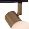 Спот Arte Lamp Falena A3117PL-2BK - Спот Arte Lamp Falena A3117PL-2BK